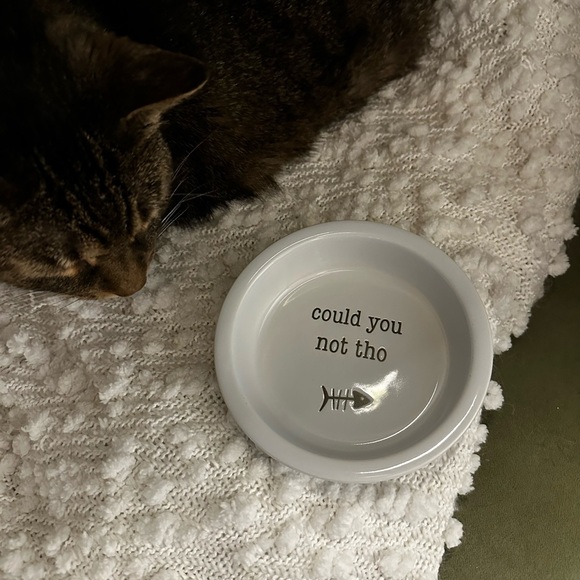 Whisker City Ceramic Cat Food Bowl - Picture 3 of 3